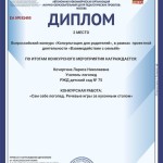 Кочергина Л.Н. (Copy)