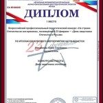 Михайлова Ю.С. (Copy)